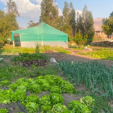 Mama Green Eco Lodge L Permaculture Farm L Farm To Table
