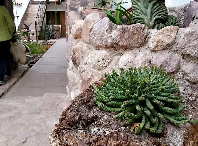 Mama Eco L Permaculture Farm L Farm To Table Hotel