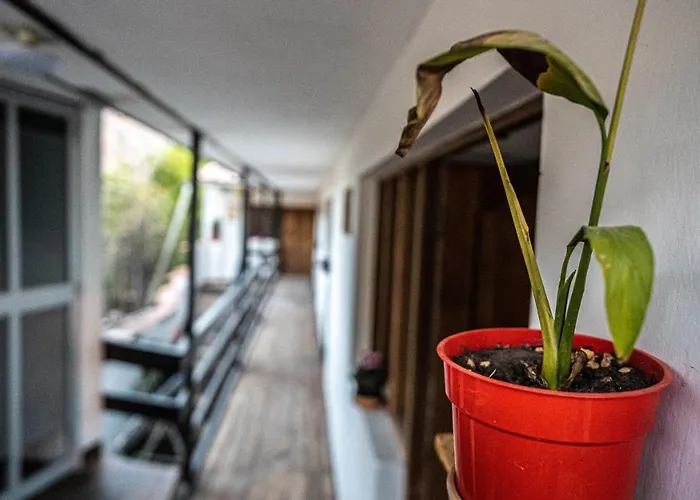 Hotel Mama Eco L Permaculture Farm L Farm To Table Urubamba