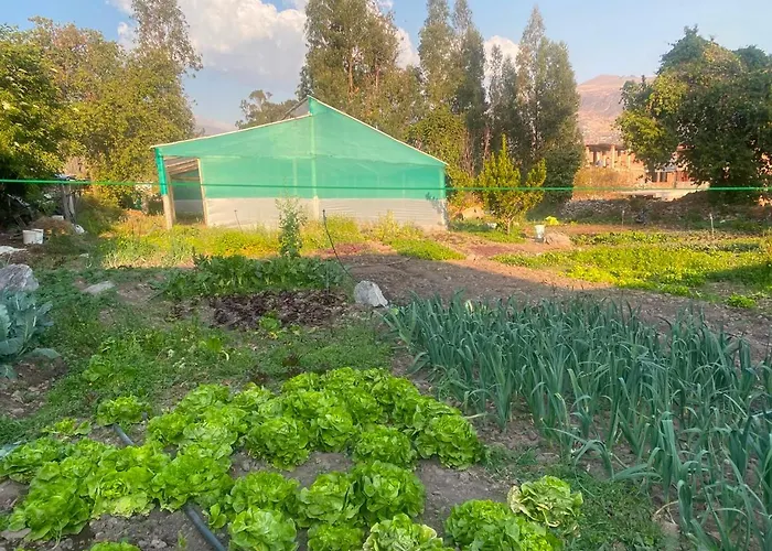Mama Eco L Permaculture Farm L Farm To Table ウルバンバ