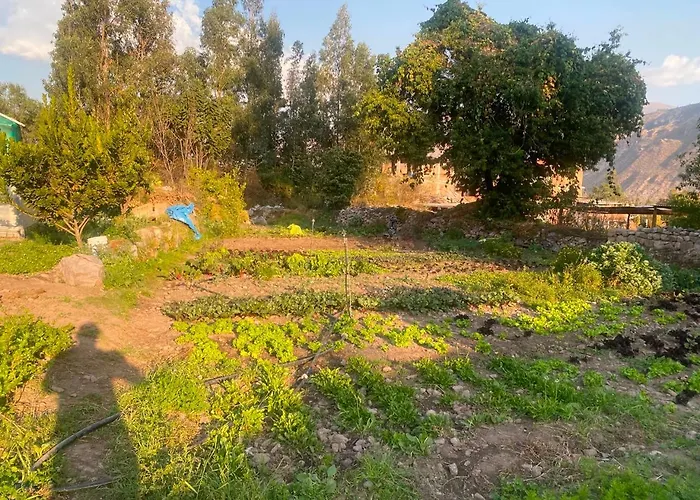 Mama Eco L Permaculture Farm L Farm To Table