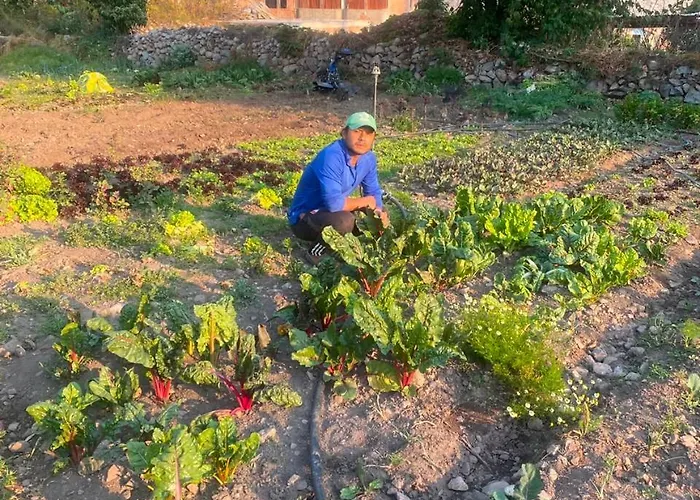Mama Eco L Permaculture Farm L Farm To Table Hotel